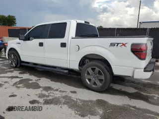 2014 Ford F-150 XL with VIN 1FTEW1CM3EFA86157, listed as a Copart auction lot 61084245 with 416,688 mi miles and Salvage title. Bid and sale history available at DreamBid. Image 2.