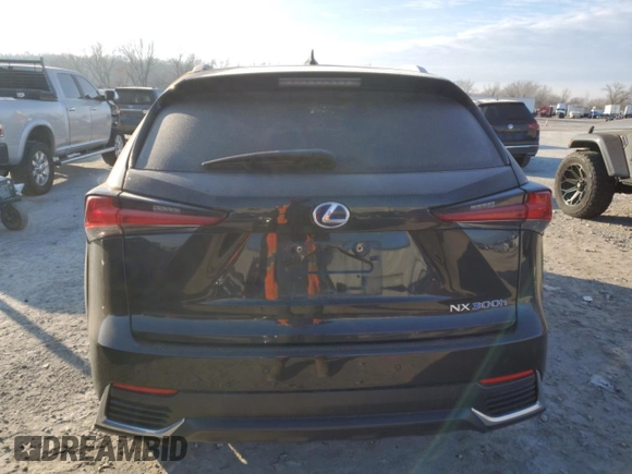 2020 Lexus NX with VIN JTJGJRDZ5L2133271, listed as a Copart auction lot 41495555 with 118,536 mi miles and Salvage Title. Bid and sale history available at carsss.com. Image 6.