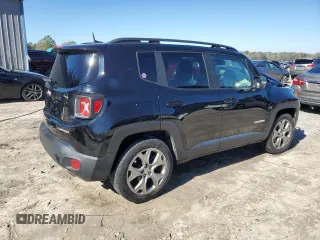 2019 Jeep Renegade Limited with VIN ZACNJAD11KPK09916, listed as a Copart auction lot 89002485 with Not Provided miles and Non Repairable. Bid and sale history available at DreamBid. Image 3.