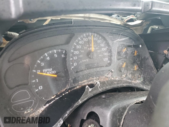 2005 Chevrolet Silverado 1500 with VIN 1GCEK19V75E184349, listed as a Copart auction lot 41495315 with 0 mi miles and Salvage Title. Bid and sale history available at carsss.com. Image 9.