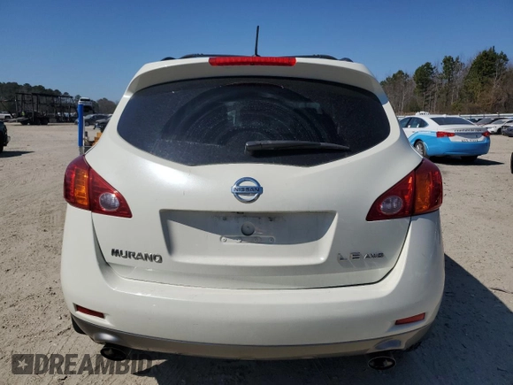 2010 Nissan Murano LE with VIN JN8AZ1MW8AW110781, listed as a Copart auction lot 48852235 with 166,602 mi miles and Clean Title. Bid and sale history available at carsss.com. Image 6.