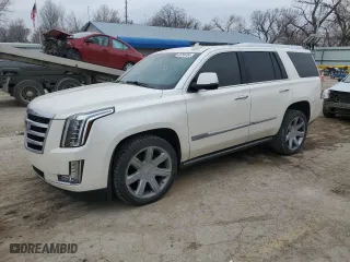 2015 Cadillac Escalade Premium with VIN 1GYS4NKJ9FR523919, listed as a Copart auction lot 45256764 with 170,682 mi miles and Salvage Title. Bid and sale history available at carsss.com. Image 1.