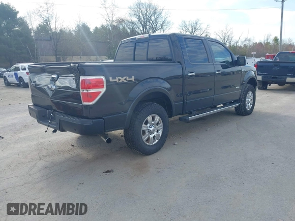 2011 Ford F-150 XLT with VIN 1FTFW1ET7BFA54123, listed as a IAAI auction lot 42119218 with 208,258 mi miles. Bid and sale history available at carsss.com. Image 4.