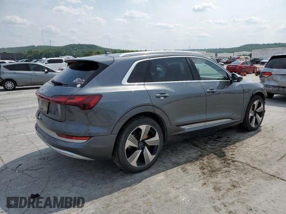 2019 Audi e-tron Prestige with VIN WA1VAAGE5KB006016, listed as a Copart auction lot 53279713 with 50,275 mi miles. Bid and sale history available at carsss.com. Image 3.