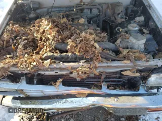 1984 Toyota Pickup z VIN JT4RN56S0E0003177, wystawiony jako Copart lot #48304385 z przebiegiem 117 297 mil mil oraz Szkoda całkowita • Salvage title. Historia ofert i sprzedaży dostępna na DreamBid. Obrazek 11.