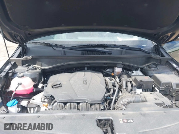 2023 Kia Sportage X-Line with VIN 5XYK6CAF1PG004543, listed as a IAAI auction lot 42145807 with 19,579 mi miles and . Bid and sale history available at DreamBid. Image 10.
