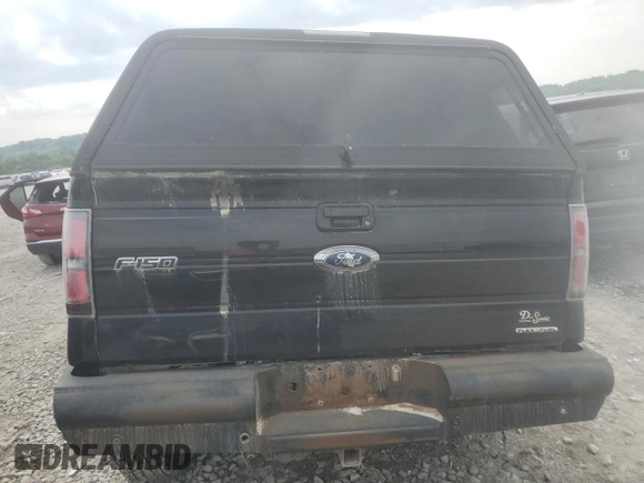 2011 Ford F-150 XL with VIN 1FTFW1EFXBFD41577, listed as a Copart auction lot 58650365 with 306,165 mi miles and Salvage title. Bid and sale history available at DreamBid. Image 6.