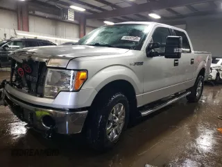 2013 Ford F-150 XL with VIN 1FTFW1EF1DFD38831, listed as a Copart auction lot 46692585 with 207,959 mi miles and Salvage Title. Bid and sale history available at DreamBid. Image 1.
