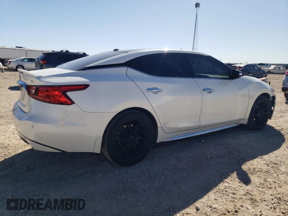 2016 Nissan Maxima SL with VIN 1N4AA6AP3GC396133, listed as a Copart auction lot 46754095 with 138,355 mi miles and Salvage Title. Bid and sale history available at DreamBid. Image 3.