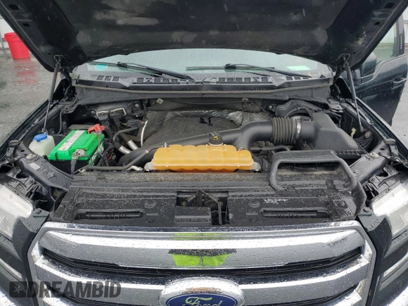 2016 Ford F-150 XLT with VIN 1FTFX1EG3GFA34815, listed as a Copart auction lot 57962835 with 203,507 mi miles and Clean title. Bid and sale history available at DreamBid. Image 11.