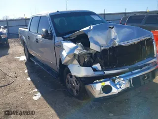 2013 Ford F-150 XL with VIN 1FTEW1CM4DFA94606, listed as a IAAI auction lot 41694243 with 250,025 mi miles. Bid and sale history available at carsss.com. Image 1.