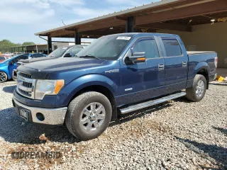 2013 Ford F-150 XL with VIN 1FTFW1CT7DKG40902, listed as a Copart auction lot 53817995 with 134,023 mi miles and Salvage Title. Bid and sale history available at carsss.com. Image 1.
