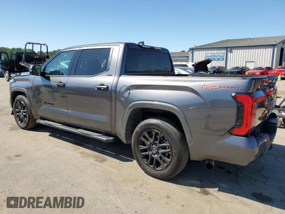 2022 Toyota Tundra SR5 with VIN 5TFLA5AB3NX009801, listed as a Copart auction lot 49465614 with 19,376 mi miles and Salvage title. Bid and sale history available at DreamBid. Image 2.