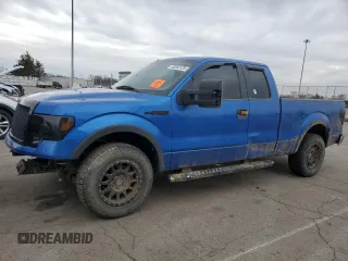 2009 Ford F-150 XLT with VIN 1FTRX12V49FB20685, listed as a Copart auction lot 48260125 with 224,595 mi miles and Clean title. Bid and sale history available at DreamBid. Image 1.