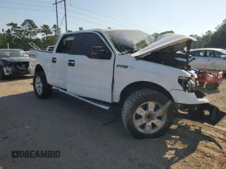 2011 Ford F-150 XL with VIN 1FTFW1EF3BFD30274, listed as a Copart auction lot 58980725 with Not provided miles and Salvage title. Bid and sale history available at DreamBid. Image 4.