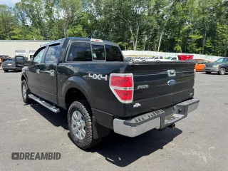2010 Ford F-150 XL with VIN 1FTFW1EV0AFB73518, listed as a Copart auction lot 62685025 with 125,449 mi miles and Clean title. Bid and sale history available at DreamBid. Image 2.