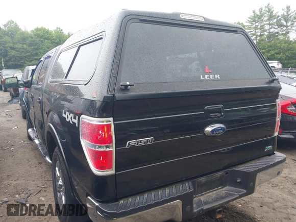2010 Ford F-150 XL with VIN 1FTFW1EV5AFB03190, listed as a IAAI auction lot 42594700 with 85,117 mi miles and . Bid and sale history available at DreamBid. Image 3.