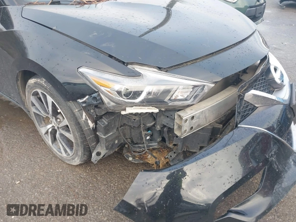 2016 Nissan Maxima SV with VIN 1N4AA6AP2GC409289, listed as a IAAI auction lot 41296115 with Not Provided miles and . Bid and sale history available at DreamBid. Image 6.
