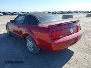 2006 Ford Mustang Standard with VIN 1ZVFT84N165244772, listed as a IAAI auction lot 41656994 with Not Provided miles and . Bid and sale history available at carsss.com. Image 3.