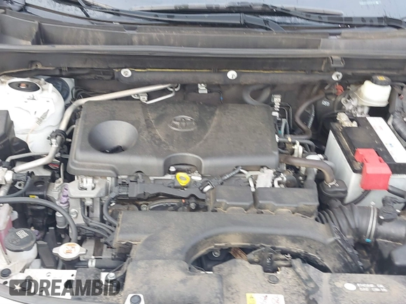 2019 Toyota RAV4 XLE with VIN JTMW1RFV8KD006767, listed as a IAAI auction lot 41126402 with 69,913 mi miles. Bid and sale history available at carsss.com. Image 10.
