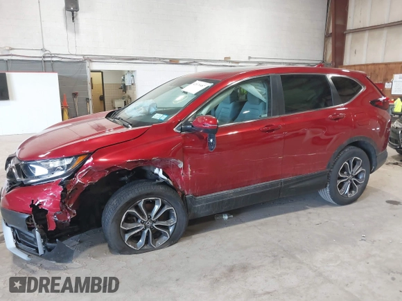 2021 Honda CR-V EX with VIN 2HKRW2H53MH621761, listed as a IAAI auction lot 42071487 with 52,304 mi miles and . Bid and sale history available at carsss.com. Image 6.