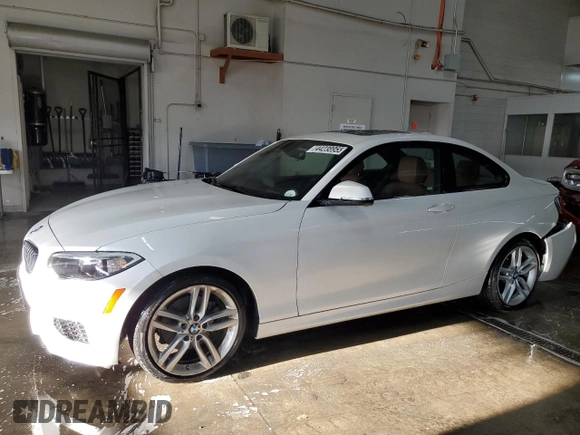 2016 BMW 2 Series 228i xDrive with VIN WBA1G9C59GV726574, listed as a Copart auction lot 44238955 with 95,829 mi miles and Salvage title. Bid and sale history available at DreamBid. Image 1.