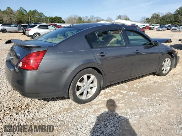 2005 Nissan Maxima 3.5 SL with VIN 1N4BA41E15C868995, listed as a Copart auction lot 45282975 with 132,943 mi miles and Salvage Title. Bid and sale history available at carsss.com. Image 3.