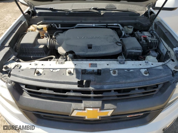 2017 Chevrolet Colorado 2WD Z71 with VIN 1GCGSDEN9H1300095, listed as a Copart auction lot 48717865 with 181,471 mi miles and Salvage Title. Bid and sale history available at carsss.com. Image 11.