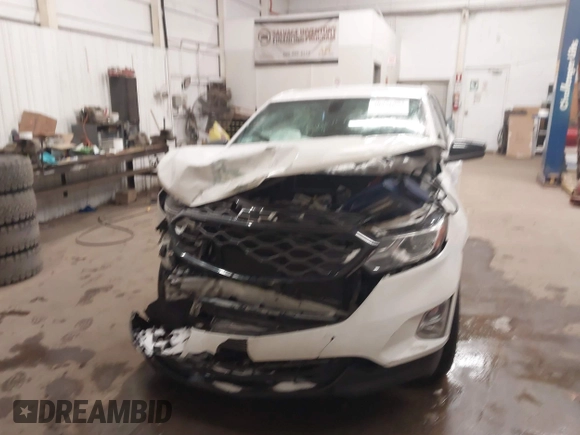 2019 Chevrolet Equinox LT with VIN 2GNAXKEV5K6160246, listed as a IAAI auction lot 40971003 with 122,343 mi miles. Bid and sale history available at carsss.com. Image 12.