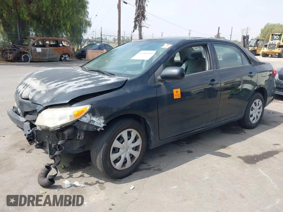 2011 Toyota Corolla L with VIN 2T1BU4EE8BC685494, listed as a IAAI auction lot 42182682 with Not Provided miles and . Bid and sale history available at DreamBid. Image 2.