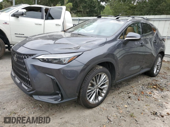 2022 Lexus NX with VIN 2T2GKCEZ8NC009023, listed as a Copart auction lot 74852064 with 20,454 mi miles and Salvage Title. Bid and sale history available at carsss.com. Image 1.