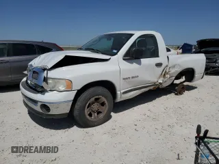 2005 Dodge 1500 SLT with VIN 1D7HA16N05J537953, listed as a Copart auction lot 49049175 with 132,243 mi miles and Salvage Title. Bid and sale history available at carsss.com. Image 1.