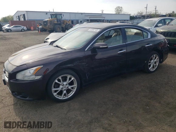 2013 Nissan Maxima SV with VIN 1N4AA5AP8DC820217, listed as a Copart auction lot 54368745 with 169,921 mi miles and Salvage Title. Bid and sale history available at DreamBid. Image 1.