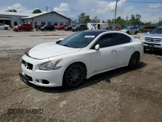 2010 Nissan Maxima SV z VIN 1N4AA5AP8AC852242, wystawiony jako Copart lot #57330655 z przebiegiem 143 971 mil mil oraz Szkoda całkowita • Salvage title. Historia ofert i sprzedaży dostępna na DreamBid. Obrazek 1.