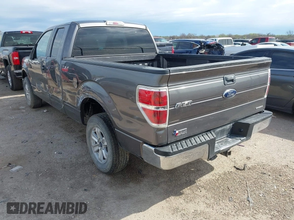 2013 Ford F-150 XL with VIN 1FTEX1CM8DFD67446, listed as a IAAI auction lot 41891784 with 159,909 mi miles and . Bid and sale history available at DreamBid. Image 3.
