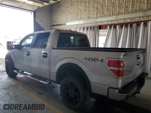 2010 Ford F-150 XL with VIN 1FTFW1EV3AFB69270, listed as a Copart auction lot 66163565 with 176,569 mi miles and Clean title. Bid and sale history available at DreamBid. Image 2.