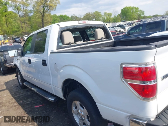 2010 Ford F-150 XL with VIN 1FTEW1C80AKE13666, listed as a IAAI auction lot 42002179 with 121,288 mi miles. Bid and sale history available at carsss.com. Image 14.
