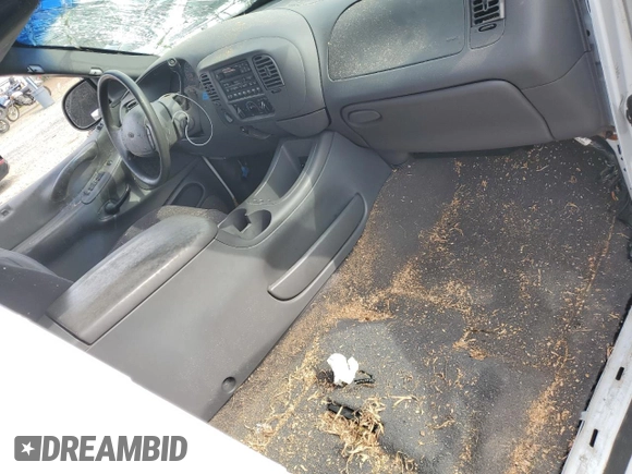2000 Ford Expedition XLT with VIN 1FMRU166XYLA67790, listed as a Copart auction lot 43822185 with Not Provided miles and Salvage Title. Bid and sale history available at DreamBid. Image 8.