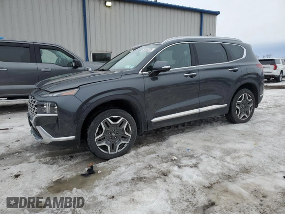 2022 Hyundai Santa Fe Limited with VIN 5NMS4DAL8NH456185, listed as a Copart auction lot 48406205 with 39,580 mi miles and Salvage Title. Bid and sale history available at carsss.com. Image 1.