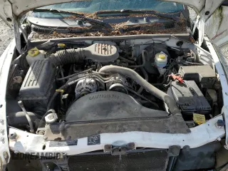 1999 Dodge Dakota SLT with VIN 1B7FL26X6XS298294, listed as a Copart auction lot 49541455 with 88,457 mi miles and Clean Title. Bid and sale history available at carsss.com. Image 11.