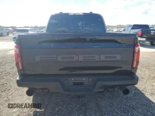 2024 Ford F-150 Raptor with VIN 1FTFW1RG4RFA57634, listed as a Copart auction lot 50156555 with 19,887 mi miles and Salvage Title. Bid and sale history available at carsss.com. Image 6.