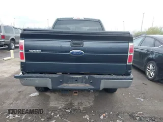 2010 Ford F-150 XL with VIN 1FTEX1E85AFB06495, listed as a IAAI auction lot 42082090 with 161,418 mi miles. Bid and sale history available at carsss.com. Image 16.