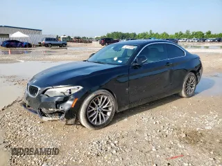 2016 BMW 2 Series 228i with VIN WBA1F9C5XGV545096, listed as a Copart auction lot 62770235 with 159,822 mi miles and Salvage title. Bid and sale history available at DreamBid. Image 1.