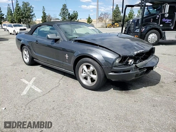 2007 Ford Mustang Deluxe with VIN 1ZVHT84N775242583, listed as a Copart auction lot 51477205 with Not Provided miles and Salvage Title. Bid and sale history available at carsss.com. Image 10.