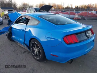 2017 Ford Mustang V6 with VIN 1FA6P8AM5H5272540, listed as a IAAI auction lot 41101738 with Not Provided miles and . Bid and sale history available at carsss.com. Image 3.