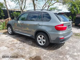 2009 BMW X5 30i with VIN 5UXFE435X9L263360, listed as a IAAI auction lot 41991181 with 113,645 mi miles. Bid and sale history available at carsss.com. Image 3.