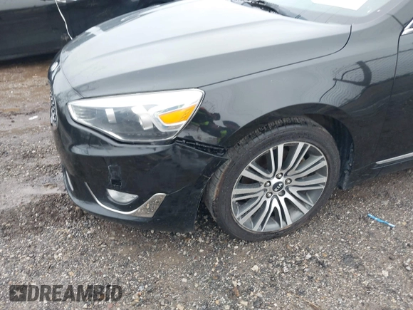 2014 Kia Cadenza Premium with VIN KNALN4D7XE5144952, listed as a IAAI auction lot 40546603 with 201,073 mi miles. Bid and sale history available at carsss.com. Image 13.