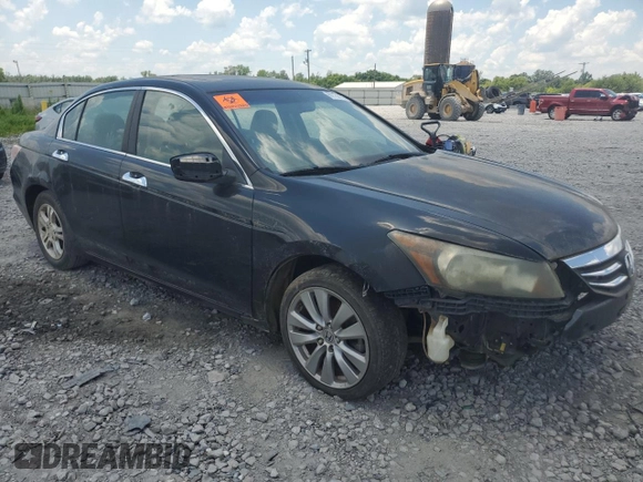 2011 Honda Accord EX-L with VIN 1HGCP3F81BA029450, listed as a Copart auction lot 62158145 with 199,491 mi miles and Clean title. Bid and sale history available at DreamBid. Image 4.