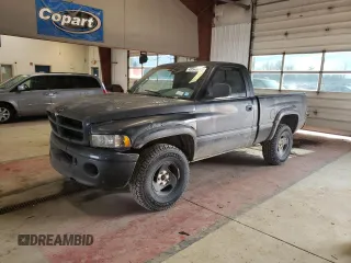 1999 Dodge 1500 z VIN 1B7HF16Y4XS146923, wystawiony jako Copart lot #48548615 z przebiegiem 247 260 mil mil oraz Szkoda całkowita • Salvage title. Historia ofert i sprzedaży dostępna na DreamBid. Obrazek 1.