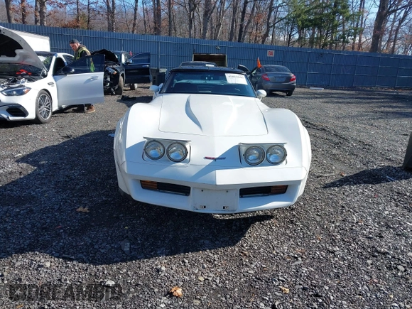 1981 Chevrolet Corvette with VIN 1G1AY8768BS418361, listed as a IAAI auction lot 41851046 with 72,559 mi miles. Bid and sale history available at carsss.com. Image 13.
